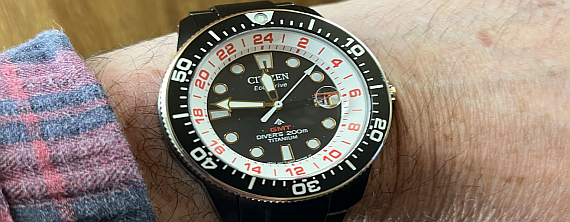 Citizen Promaster Titanium BJ7115-85 Limited Edition 'Brave Blossoms' –  Review | AUSRETROGAMER